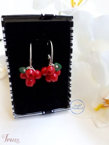 imusau.lt | listing Auskarai uogos